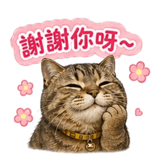 胖虎大少爺
