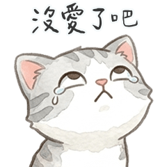灰虎斑貓貓沒愛了吧