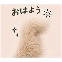 T.KOSAKA_20260513090701