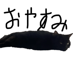 ka_20260513091259