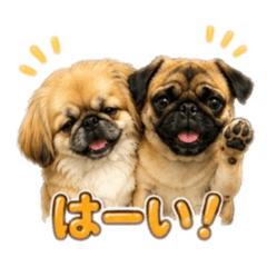wasabi_to_okoge2
