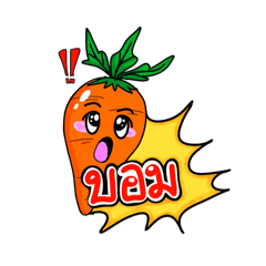 Carrot Fun_20260501152850