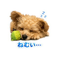 Yuzuki_20260513125946