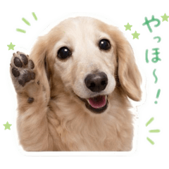 erichika_20260513125903