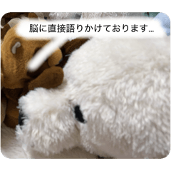oharu._20260503160702
