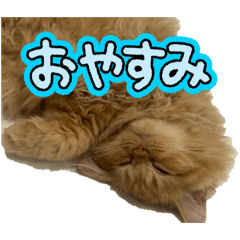 AOI_20260513105831