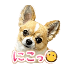 MYU_20260513132745