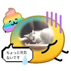 mari_20260513132905