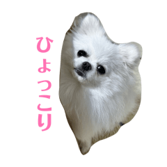 banana_20260513132143