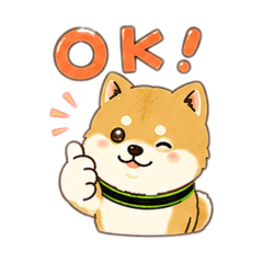 miya_20260513132702
