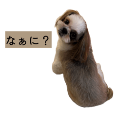 Holy_20260513133346