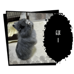 hoo01
