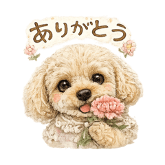 Lilly_20260513140441