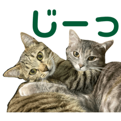 unitubu_20260513141453