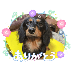 line_20260513141830