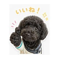 Maki_20260513121003