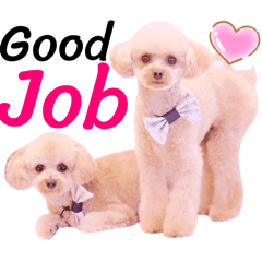 Mochioba_20260516201523