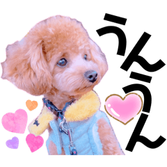 Mochioba_20260516201828