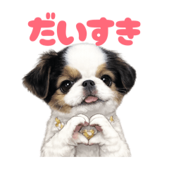 DOG STAMP ORDER_20260516202450