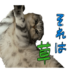 kageyama house_20260513123459