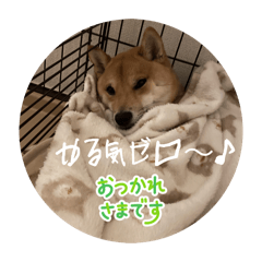 CHICKEN_20260513124330
