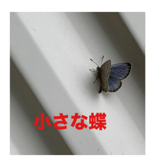 water_20260513123449