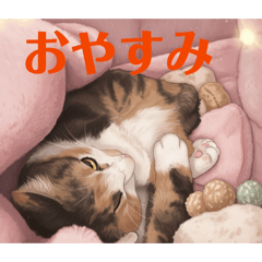 toshiko shimomura_20260513124428