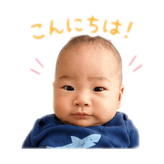 kon_20260513123843