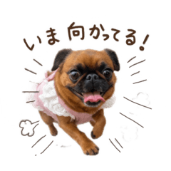 mmmmichan