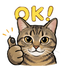 Cat_20260513144742