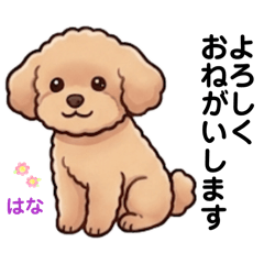 ToyPoodle Hana's Daily Life(family ver.)