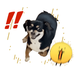 popo.222_20260513152626