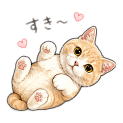misotan_20260513152930