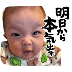 koya_20260513152326