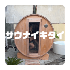 DJ_20260513152800