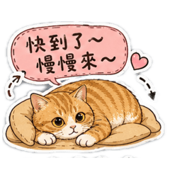 橘貓慢慢日常2
