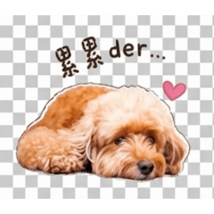 我的女兒依然存在