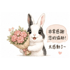 Milu Daily greetings