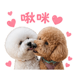 熊&Q綜合貼圖1