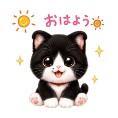 Kotastamp_20260513134049