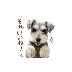 KOPI_20260513134743