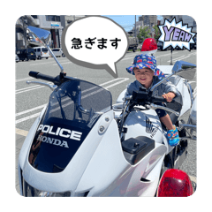 chiho_20260513134821