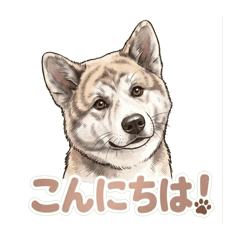 Moo_20260513153826