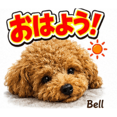 Bell_2026