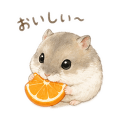 kuu_20260513135814