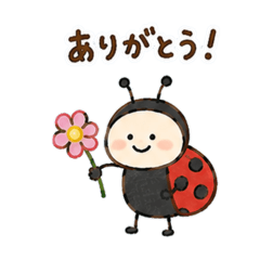 obaba_20260513154700