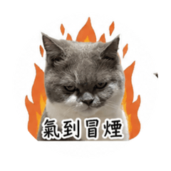 李菈的世界