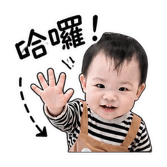 茶茶的日常party1