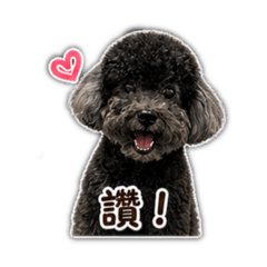 阿肥肥狗狗