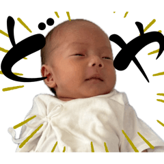 yasuharu_20260513142452